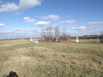 TinyAmsterdamCemetery--1