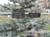 UOC-CemeteryBirminghaml009