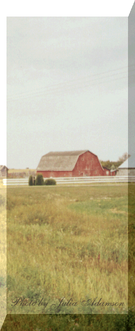 farm